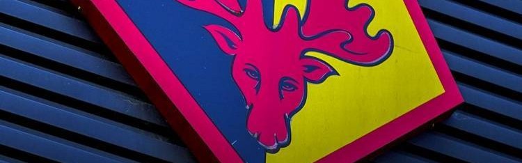 天空：波佐家族正运作出售乌迪内斯 将专注于带沃特福德重回英超