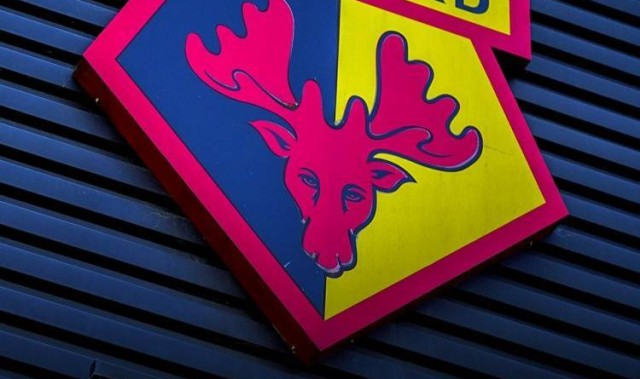 天空：波佐家族正运作出售乌迪内斯 将专注于带沃特福德重回英超